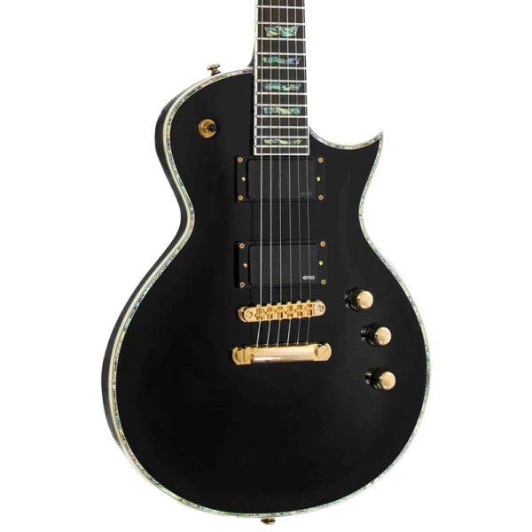 HH-N Guitarra eléctrica Single Cut HH